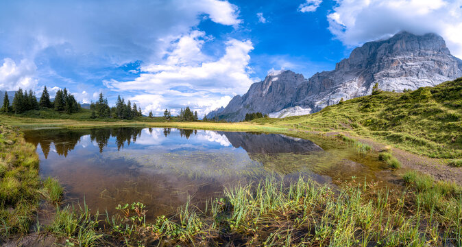 Panoramic of Grosse Scheidegg Pass and Wellhorn mountain in summer, Grindelwald, Bernese Alps, Canton of Bern, Switzerland