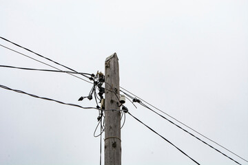 Wooden pole with electrical wiring.