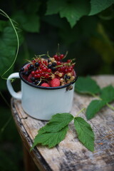 Berries in a mug on the board. Berries on a branch. © lilliya