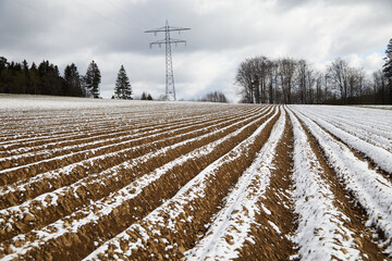 Snow-covered field in winter. In the background a power pole. An arable field, also called a field...