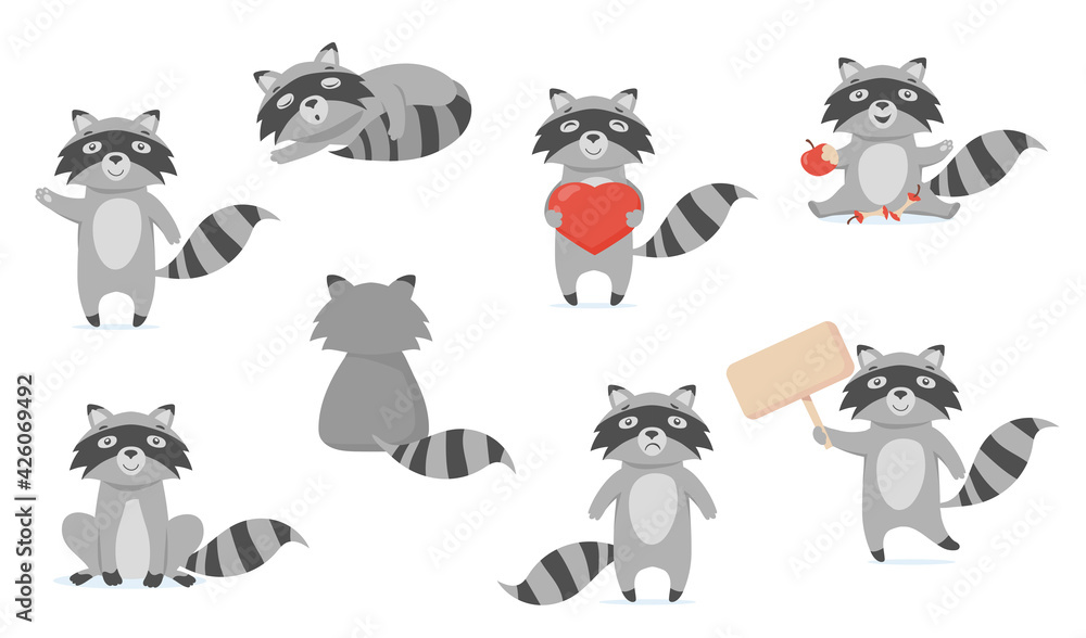 Wall mural funny raccoon flat pictures set for web design. cartoon cute racoon character in different poses iso