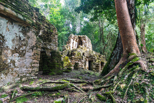 Archaeological Maya site of Yaxchilan in the jungle of Chiapas, Mexico