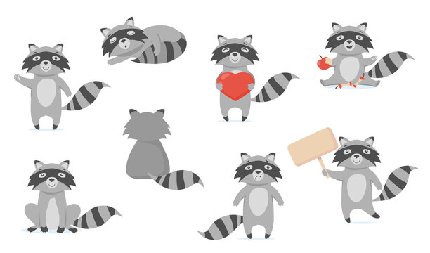 Funny raccoon flat pictures set for web design. Cartoon cute racoon character in different poses isolated vector illustrations. Forest animals and woodland concept