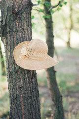 Ladies' straw hat left on the tree
