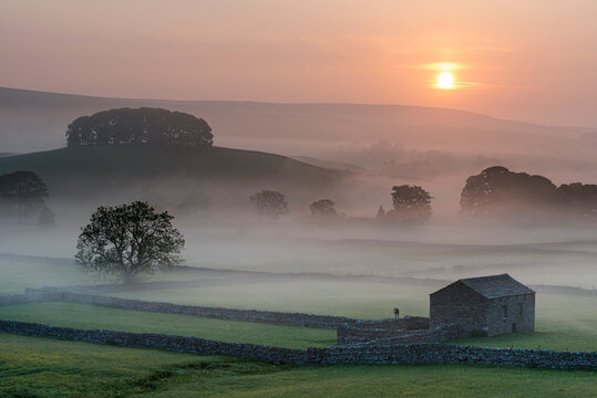 Fields and barn at sunrise, looking northeast from Hawes, Yorkshire Dales National Park, Yorkshire, England, United Kingdom