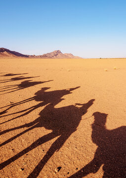 Shadows of people riding camels in a caravan at Zagora Desert, Draa-Tafilalet Region, Morocco, North Africa