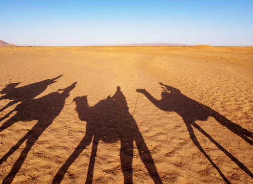 Shadows of people riding camels in a caravan in Zagora Desert, Draa-Tafilalet Region, Morocco, North Africa