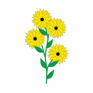 Sun Flower Illustration Vector isolated on white background