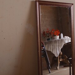 Reflexo