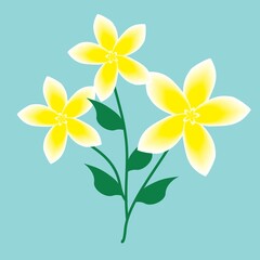 Fototapeta na wymiar Flower illustration. vector illustration isolated on white background