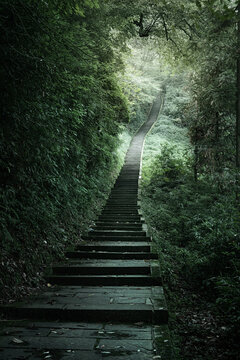 The endless stairs to ascend Mount Emei, Emeishan, Sichuan, China