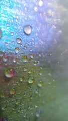 lilac light effect blue bokeh, water droplets on the surface, blurry reflections from water, vertical aspect ratio, abstract image background color