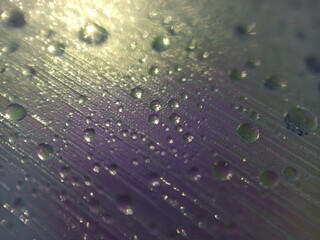 lilac light effect blue bokeh, water droplets on the surface, blurry reflections from water,...