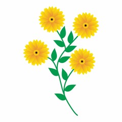 Sun Flower Illustration Vector isolated on white background