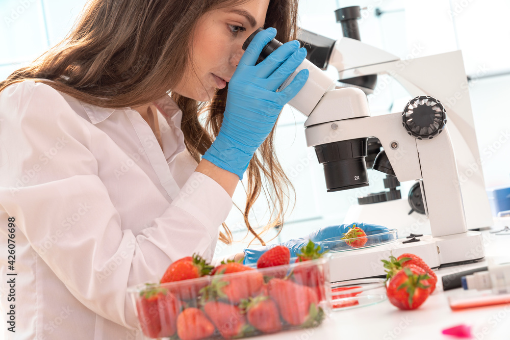 Sticker Quality inspection of  food  Checking the content of nitrates and herbicides in strawberries