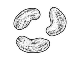 Cashew nut set sketch engraving vector illustration. T-shirt apparel print design. Scratch board imitation. Black and white hand drawn image.