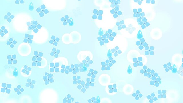  紫陽花の花びらとループ動画