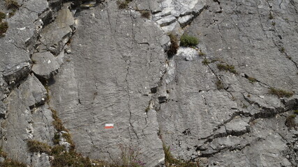 Texture pietra