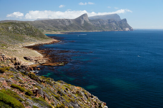 Cape Point Nature Reserve, False Bay, Western Cape, South Africa