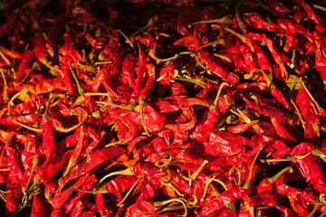 Red spicy chili peppers close up