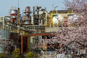 満開の桜と工場