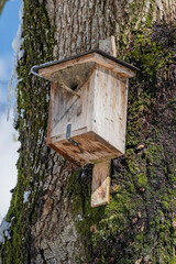 Nistkasten, Stans, Kanton Nidwalden, Schweiz