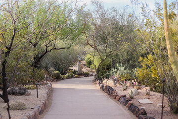 Desert Botanical Garden is a 140-acre botanical garden located in Papago Park, at 1201 N. Galvin Parkway in Phoenix, central Arizona. - obrazy, fototapety, plakaty