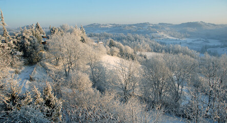 Snow and dew in the forests of the Piedmont hills in winter.
