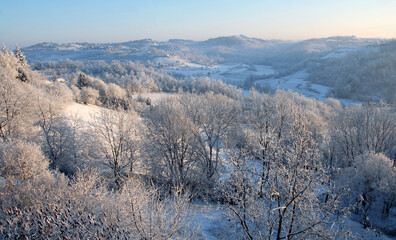 Snow and dew in the forests of the Piedmont hills in winter.
