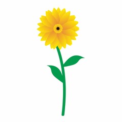 Sun Flower Illustration Vector isolated on white background