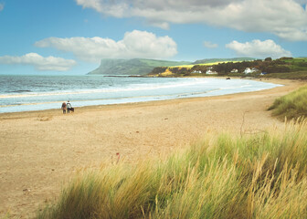 beach and sea
