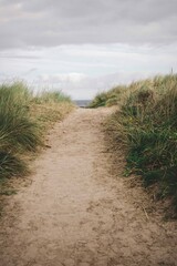 path to the beach