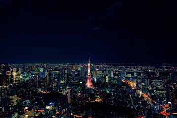 東京全体の都会俯瞰。東京タワーなどのビル街