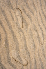 Fototapeta na wymiar Footprints in the sand on the beach