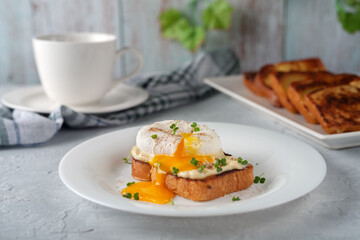 Poached egg with mayonnaise and micro-greens. Delicious breakfast. Healthy food