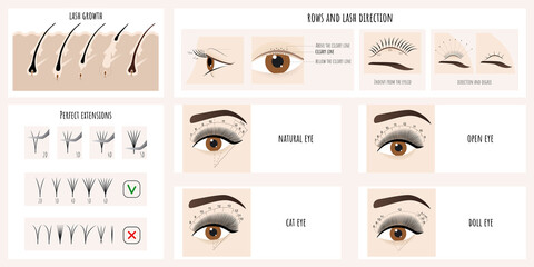 Eyelash growth, eyelash extensions types and styles. Illustration with instructions and guides for lash masters. Vector.