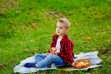 Portrait of a boy on a picnic in an autumn park with red apples. The child sits on a blanket and holds apples in his hands.