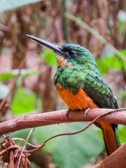 Bird perched on branch