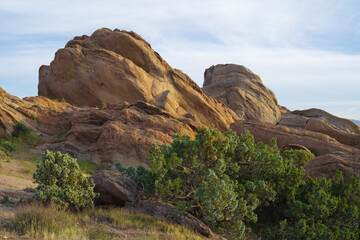Image of  rock formations at Vasquez Rocks Natural Area Park near Agua Dulce in Los Angeles County. A number of Alligator Juniper plants (Juniperus deppeana) are in the foreground.