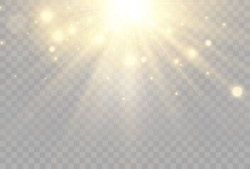 Bright beautiful star.Vector illustration of a light effect on a transparent background.