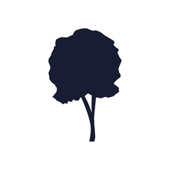 Isolated natural tree