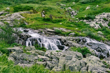 Fototapeta na wymiar Rapid stream in mountain valley among grassy banks. Small waterfall in green meadow.
