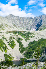 Fototapeta premium Mountain valley with stone ridge and trees on horizon. Travel through wild rocks in summer. Mountain landscape against blue sky on sunny day