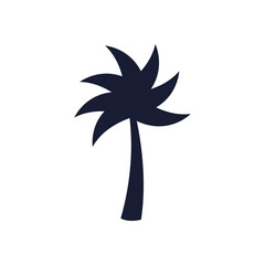 Summer palm tree