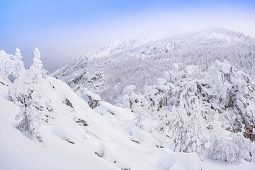 Fototapeta na wymiar Winter hills in morning frosty haze. Snow forest on slope