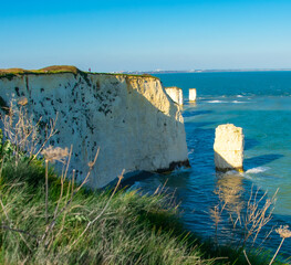 Colorful landscape in Old Harry Rocks in South England, UK