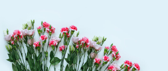 beautiful spring flowers on paper background