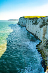 Colorful landscape in Old Harry Rocks in South England, UK