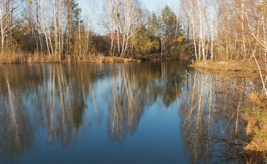 Rustic houses standing among the trees above the lake on a spring sunny day