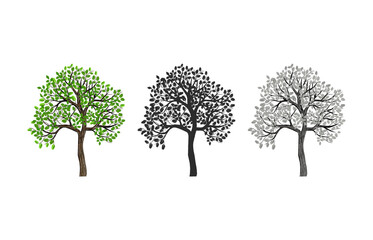 tree vector image with different colors